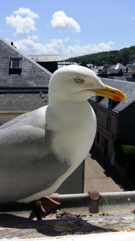 Les Galets Bleus Bed & Breakfast Étretat Eksteriør bilde